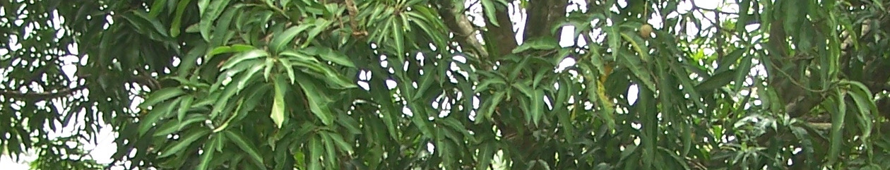 Community Development Volta